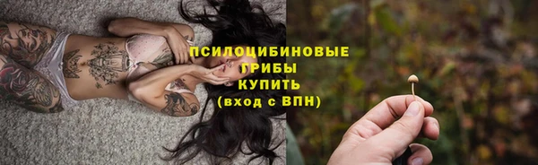 ешки Белокуриха
