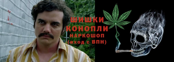 ешки Белокуриха