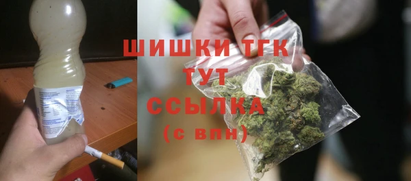 ешки Белокуриха