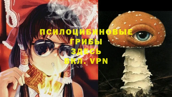 гидра Белоозёрский