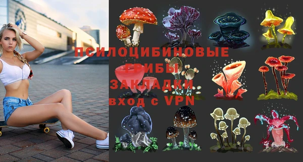 MDMA Беломорск