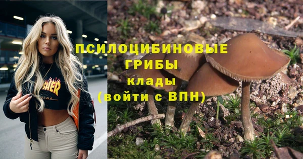 гидра Белоозёрский