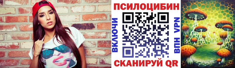 hydra tor  Чёрмоз  Псилоцибиновые грибы Psilocybe 