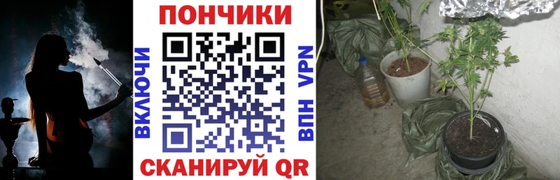 наркошоп  Чёрмоз  Канабис гибрид 